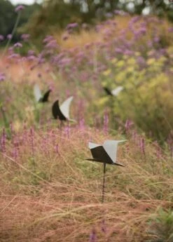 Silhouette Flying Bird 11 Silhouette Flying Bird -KANG Plants Shop pr2000026361 card4 lg