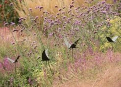 Silhouette Flying Bird 12 Silhouette Flying Bird -KANG Plants Shop pr2000026361 card5 lg