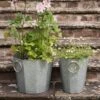 Faceted Galvanised Planter -KANG Plants Shop pr2000027856