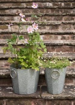 Faceted Galvanised Planter -KANG Plants Shop pr2000027856 card5 lg