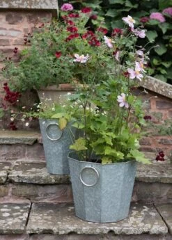 Faceted Galvanised Planter -KANG Plants Shop pr2000027856 card6 lg