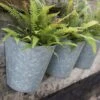 Galvanised Wall Planters - Set Of 3 -KANG Plants Shop pr2000027861