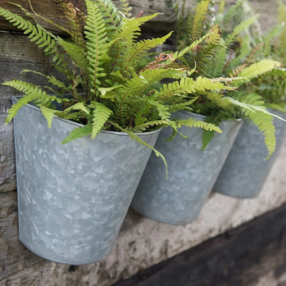Galvanised Wall Planters - Set Of 3 3 Galvanised Wall Planters - Set Of 3