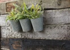 Galvanised Wall Planters - Set Of 3 10 Galvanised Wall Planters - Set Of 3 -KANG Plants Shop pr2000027861 card2 lg