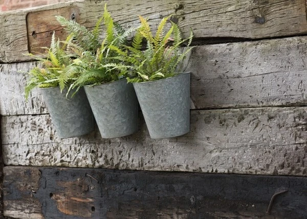 Galvanised Wall Planters - Set Of 3 4 Galvanised Wall Planters - Set Of 3 - Image 2
