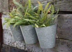 Galvanised Wall Planters - Set Of 3 11 Galvanised Wall Planters - Set Of 3 -KANG Plants Shop pr2000027861 card3 lg