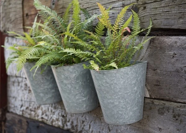 Galvanised Wall Planters - Set Of 3 5 Galvanised Wall Planters - Set Of 3 - Image 3