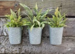 Galvanised Wall Planters - Set Of 3 12 Galvanised Wall Planters - Set Of 3 -KANG Plants Shop pr2000027861 card4 lg