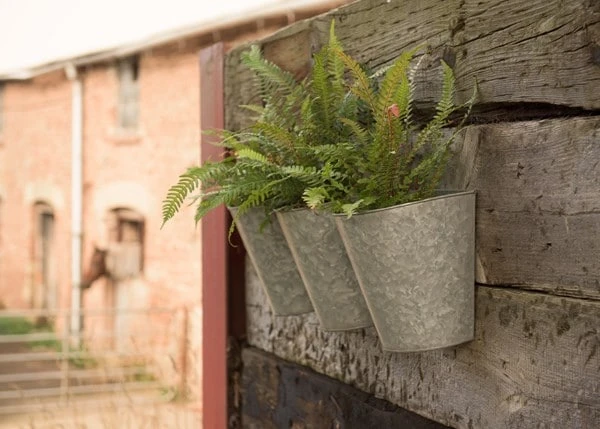 Galvanised Wall Planters - Set Of 3 7 Galvanised Wall Planters - Set Of 3 - Image 5