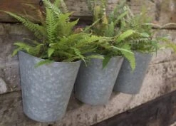Galvanised Wall Planters - Set Of 3 14 Galvanised Wall Planters - Set Of 3 -KANG Plants Shop pr2000027861 card6 lg