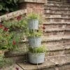 Tiered Corner Stand With Three Galvanised Pots 2 Tiered Corner Stand With Three Galvanised Pots -KANG Plants Shop pr2000027862