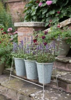 Three Galvanised Pots And Stand 9 Three Galvanised Pots And Stand -KANG Plants Shop pr2000027863 card3 lg