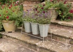 Three Galvanised Pots And Stand 10 Three Galvanised Pots And Stand -KANG Plants Shop pr2000027863 card4 lg