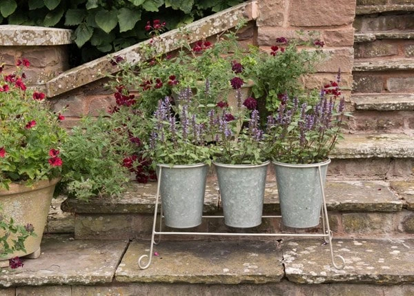 Three Galvanised Pots And Stand 7 Three Galvanised Pots And Stand - Image 5