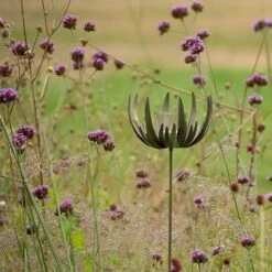 Flower Stake Tealight Holder -KANG Plants Shop pr2000027887 card5 lg