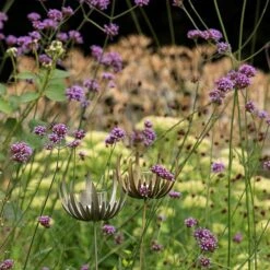 Flower Stake Tealight Holder -KANG Plants Shop pr2000027887 card7 lg