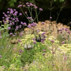 Flower Stake Tealight Holder -KANG Plants Shop pr2000027887 card8 lg