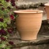 Krios Terracotta Pot -KANG Plants Shop pr2000028343