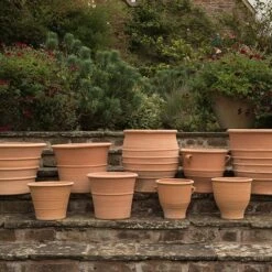 Krios Terracotta Pot 7 Krios Terracotta Pot -KANG Plants Shop pr2000028343 card3 lg