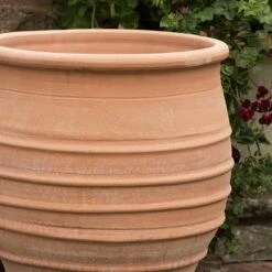 Fraska Terracotta Pot 8 Fraska Terracotta Pot -KANG Plants Shop pr2000028347 card3 lg