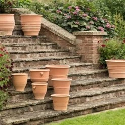 Fraska Terracotta Pot 9 Fraska Terracotta Pot -KANG Plants Shop pr2000028347 card4 lg