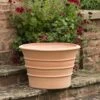 Monachou Fardipati Terracotta Pot -KANG Plants Shop pr2000028348