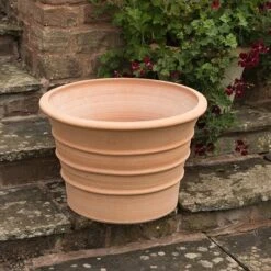 Monachou Fardipati Terracotta Pot -KANG Plants Shop pr2000028348 card5 lg