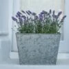 Galvanised Planter -KANG Plants Shop pr2000028358