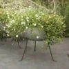 Sphere Planter With Stand 1 Sphere Planter With Stand -KANG Plants Shop pr2000028371