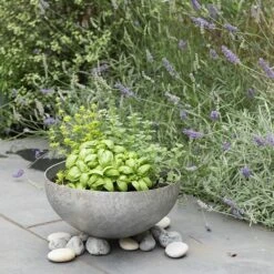 Sphere Planter With Stand -KANG Plants Shop pr2000028371 card6 lg