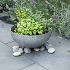 Sphere Planter With Stand -KANG Plants Shop pr2000028371 card8 lg