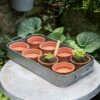 Terracotta Grow Pots - Set Of 8 With Tray -KANG Plants Shop pr2000028372