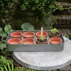 Terracotta Grow Pots - Set Of 8 With Tray -KANG Plants Shop pr2000028372 card2 lg