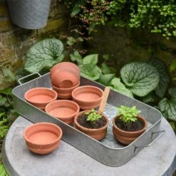 Terracotta Grow Pots - Set Of 8 With Tray -KANG Plants Shop pr2000028372 card4 lg