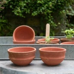 Terracotta Grow Pots - Set Of 8 With Tray -KANG Plants Shop pr2000028372 card6 lg