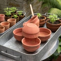 Terracotta Grow Pots - Set Of 8 With Tray -KANG Plants Shop pr2000028372 card7 lg