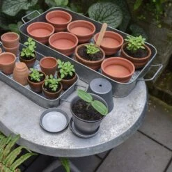 Terracotta Grow Pots - Set Of 8 With Tray -KANG Plants Shop pr2000028372 card8 lg