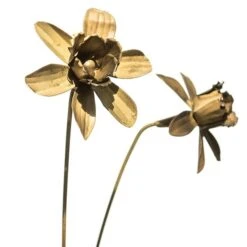 Daffodil Flower Stake - Antique Brass -KANG Plants Shop pr2000028377 card5 lg