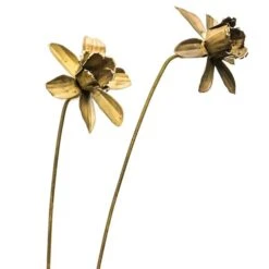 Daffodil Flower Stake - Antique Brass -KANG Plants Shop pr2000028377 card6 lg