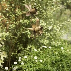 Daffodil Flower Stake - Antique Brass -KANG Plants Shop pr2000028377 card7 lg