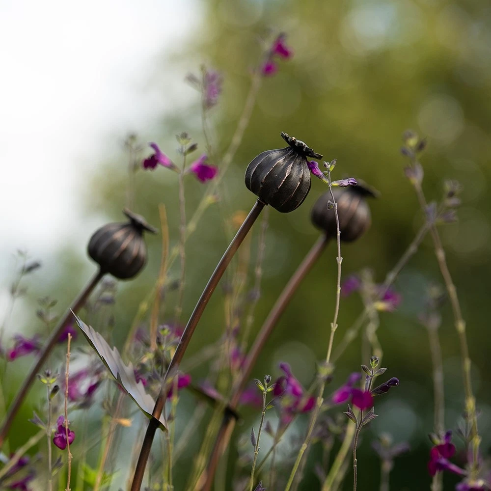 Poppy Seed Head Stake - Small Seed Head 4 Poppy Seed Head Stake - Small Seed Head - Image 2