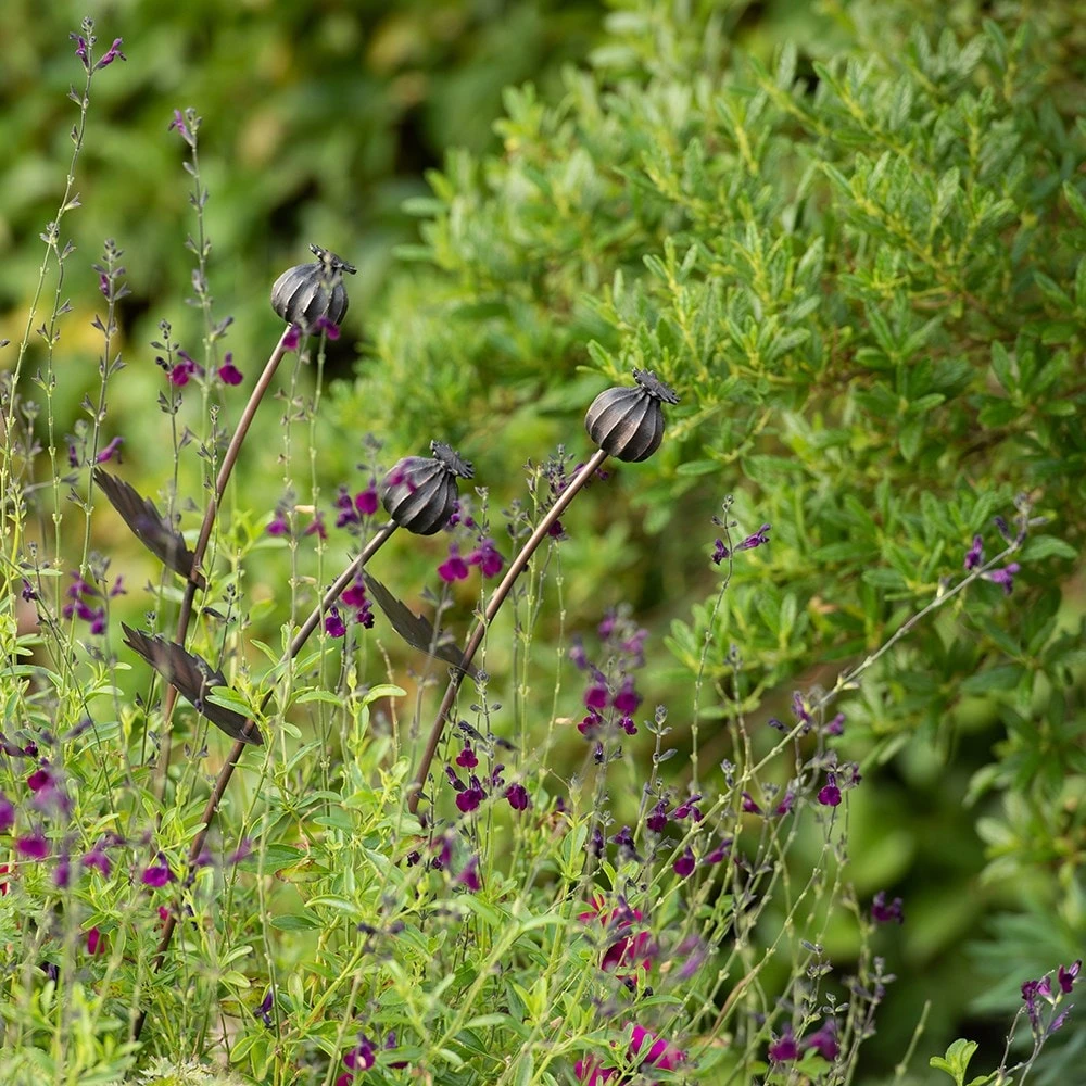 Poppy Seed Head Stake - Small Seed Head 8 Poppy Seed Head Stake - Small Seed Head - Image 6