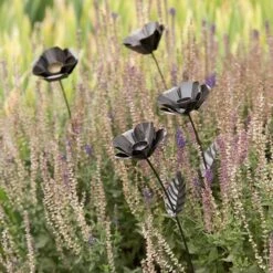 Poppy Flower Stake -KANG Plants Shop pr2000028381 card3 lg