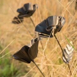 Poppy Flower Stake -KANG Plants Shop pr2000028381 card5 lg