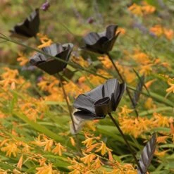 Poppy Flower Stake -KANG Plants Shop pr2000028381 card7 lg