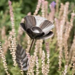 Poppy Flower Stake -KANG Plants Shop pr2000028381 card8 lg