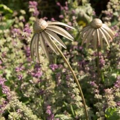 Echinacea Plant Stake - Antique Brass -KANG Plants Shop pr2000028406 card6 lg