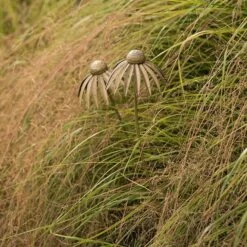 Echinacea Plant Stake - Antique Brass -KANG Plants Shop pr2000028406 card7 lg