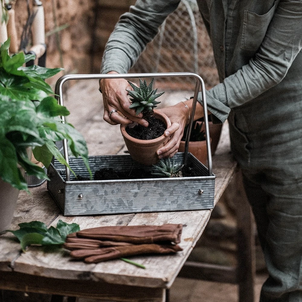 Planting Tray / Trug 4 Planting Tray / Trug - Image 2