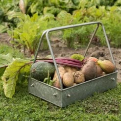 Planting Tray / Trug 14 Planting Tray / Trug -KANG Plants Shop pr2000028415 card3 lg